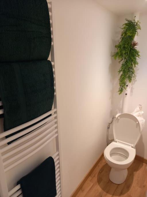Le Charmant Accueil Viennois/T2/Wifi/Cosy/Parking Поатие Екстериор снимка